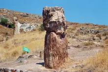 Forêt petrifiée de Lesbos