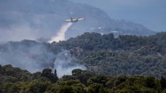 Les flammes ont brûlé plus de 55 km2 de pinèdes. YORGOS KONTARINIS / AFP


