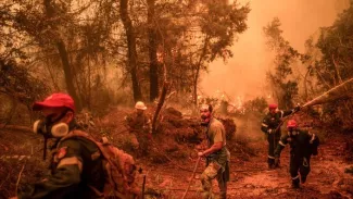 650 pompiers opèrent sur l'île, dont certains venus d'Ukraine, de Serbie et de Roumanie. ANGELOS TZORTZINIS / AFP


