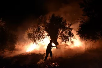 À Vasilika, dans le nord de l'île grecque d'Eubée, samedi 7 août 2021. Photo ALEXANDROS AVRAMIDIS/REUTERS


