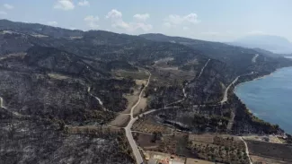 Il n'y a plus de front actif massif, selon un porte-parole des pompiers. ALKIS KONSTANTINIDIS / REUTERS


