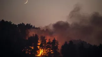 Au total, plus de 116.000 hectares sont partis en flammes en Grèce depuis fin juillet, donnant lieu à des scènes d'apocalypse. ANGELOS TZORTZINIS / AFP


