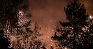 Feu de forêt près du village de Makrimalli, sur l'île d'Eubée (Grèce), le 13 août 2021.