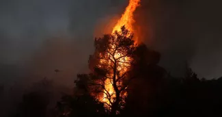 Un incendie de forêt dans les alentours de la ville de Palaiochori, à 600 km d'Athènes, en Grèce, le 20 juillet 2023.