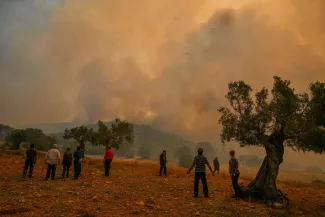 Canicule : la Grèce vit la plus longue période de chaleur de son histoire, le week-end devrait battre des records.