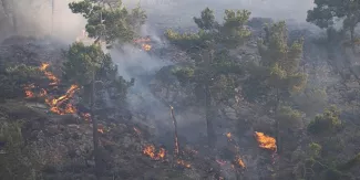 La Grèce a connu ce dimanche des températures de plus de 40°C dans de très nombreux endroits. Dans le centre du pays et dans la péninsule du Péloponnèse, des températures entre 45°C et 46,4°C ont été enregistrées dans l'après-midi, selon l'Observatoire national d'Athènes. (Crédits : Reuters)


