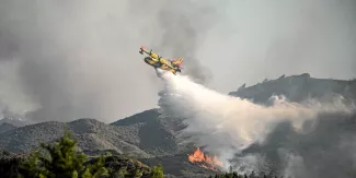 La Grèce est touchée par l'une des plus longues canicules de ces dernières décennies.