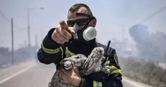 Un pompier tient des lapins et un chat, rescapés des flammes, à proximité des villages grecs de Kiotari et Gennadi, sur l'île de Rhodes, le 24 juillet 2023


