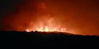 Les incendies se poursuivent en Grèce. Des pompiers interviennent de toute l'Europe pour tenter de le maîtriser. © SAKIS MITROLIDIS / AFP


