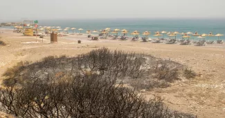 De la végétation brûlée à côté d'une plage, alors qu'un feu de forêt brûle près du village de Kiotari, sur l'île de Rhodes, en Grèce, le 24 juillet 2023.