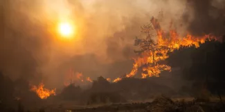 Les incendies se poursuivent en Grèce.