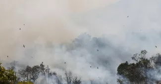 La Grèce toujours en proie au «plus grand incendie jamais enregistré dans l'UE».