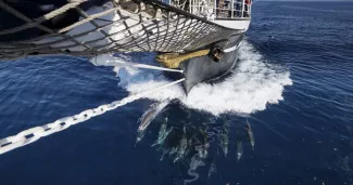 Après avoir traversé le canal de Corinthe, le «Belem» et la flamme olympique ont pris le large en Méditerranée, accompagnés par une nuée de dauphins.