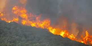 
Chaque année, la Grèce fait face à de violents incendies.