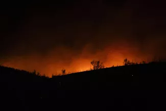 Près du village de Varnavas, lors d’un incendie de forêt, au nord d’Athènes, en Grèce, le 11 août 2024.  MICHAEL VARAKLAS / AP  