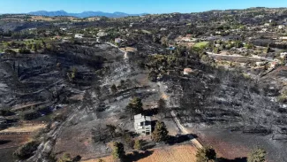 Près de 10.000 hectares de forêt et d'habitations sont partis en fumée le long d'une bande de trente kilomètres dans le nord-est de l'Attique. (Fedja Grulovic/Reuters)