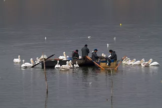 Pêcheurs sur le lac Kerkini