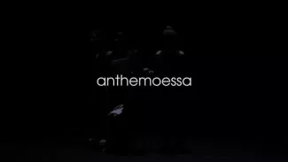 Preview image for the video "Anthemoessa _teaser".