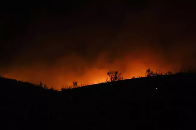 Près du village de Varnavas, lors d’un incendie de forêt, au nord d’Athènes, en Grèce, le 11 août 2024.  MICHAEL VARAKLAS / AP  