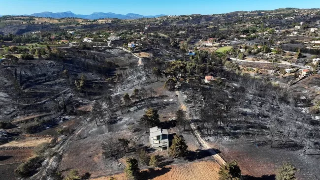 Près de 10.000 hectares de forêt et d'habitations sont partis en fumée le long d'une bande de trente kilomètres dans le nord-est de l'Attique. (Fedja Grulovic/Reuters)