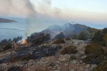 Une zone endommagée par le feu sur l’île d’Hydra, en Grèce, le 22 juin 2024.  VOLUNTEER FIRE STATION OF HYDRA / VIA REUTERS  