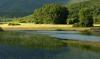 La forêt autour du lac de Kerkini