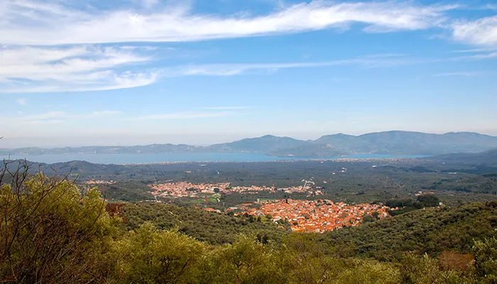 Les villages de Skopelos et Papados entourés d'oliveraies. Au fond la baie de Gera